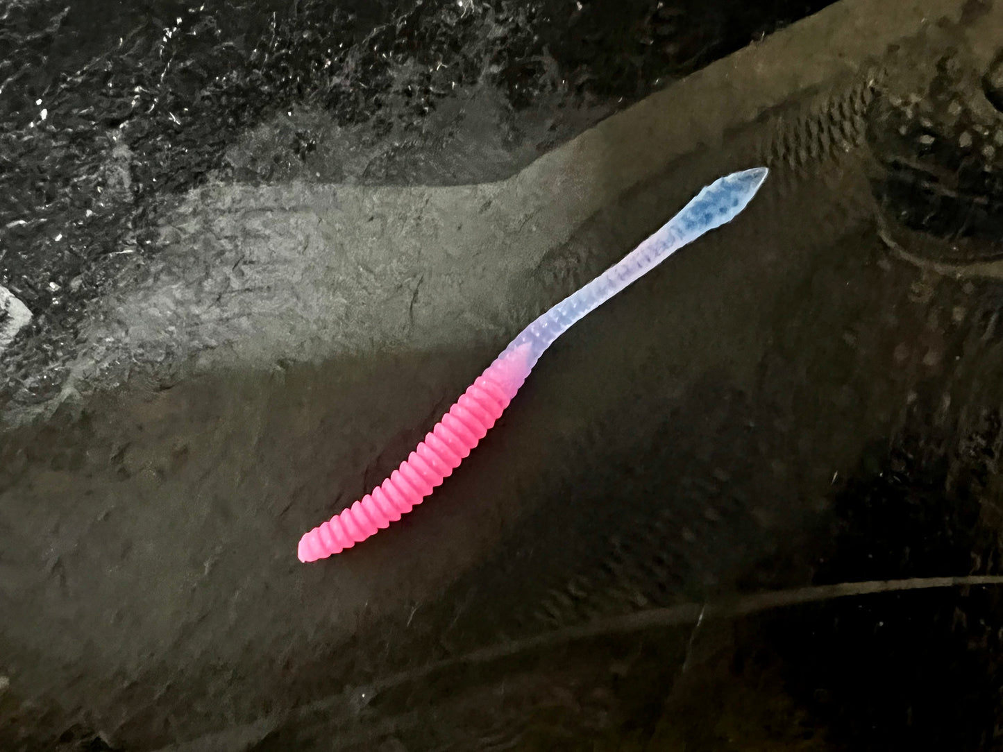 KNUT - Bubblegum/Magic-Blue