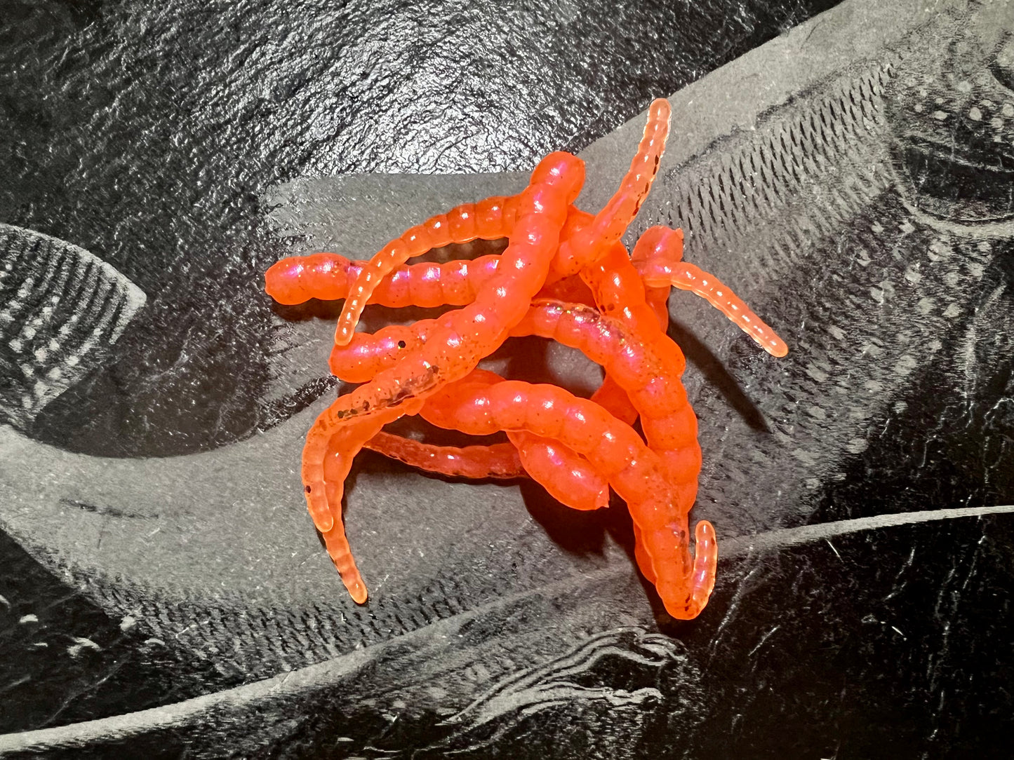 RACKER - Bloody-Orange