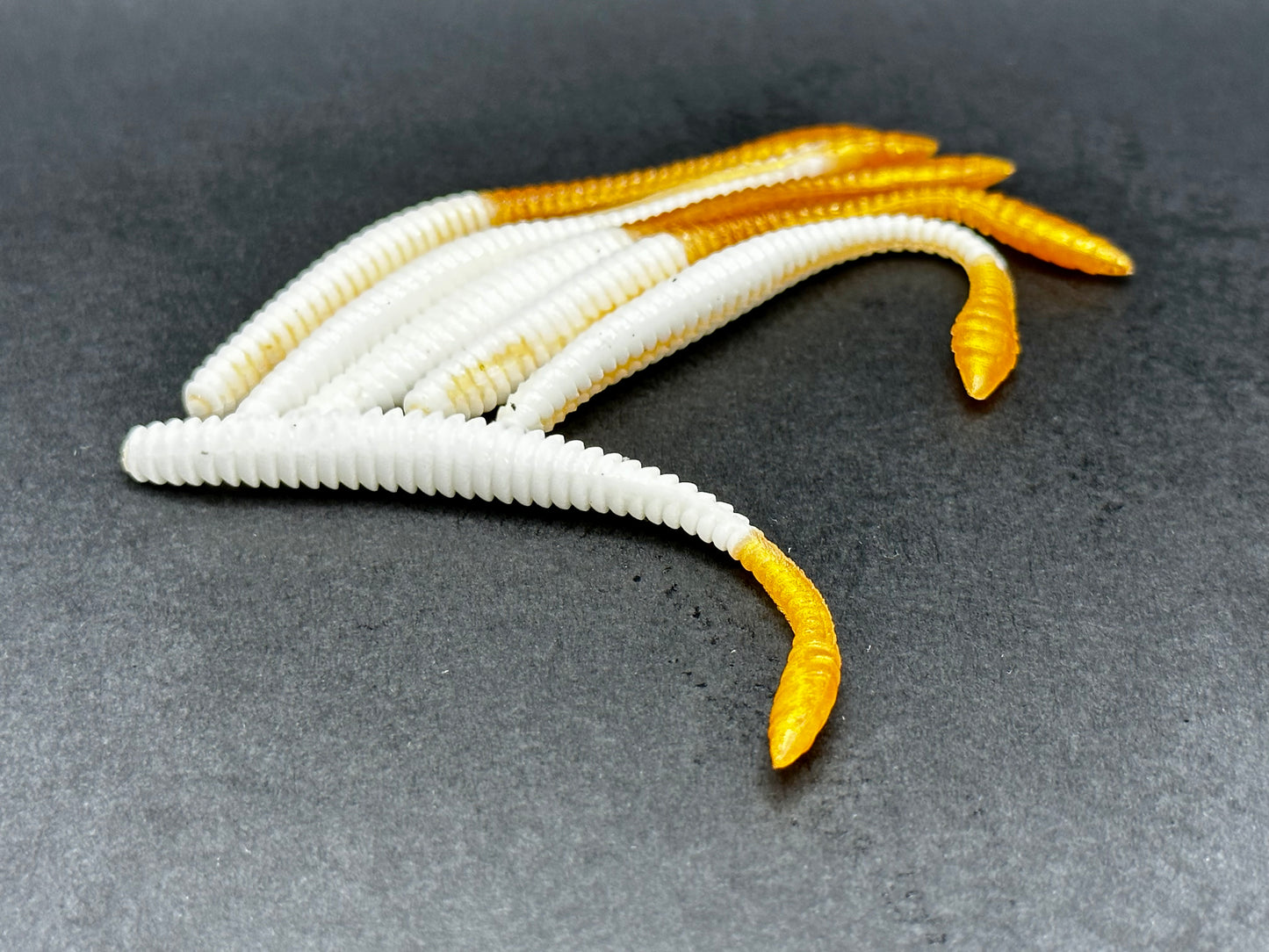 KNUT - Weiss/Gold