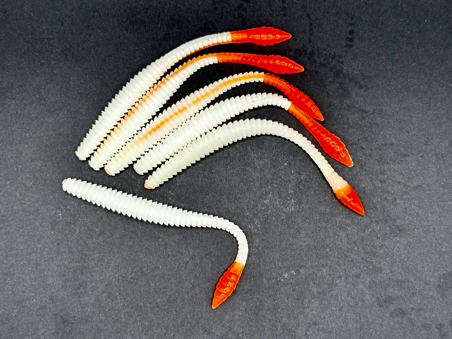 KNUT - Weiss/Orange