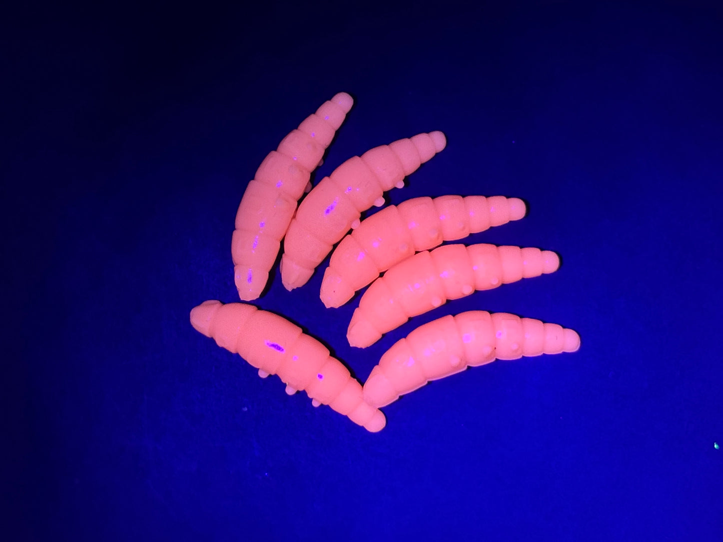 PUFF -  Lachs