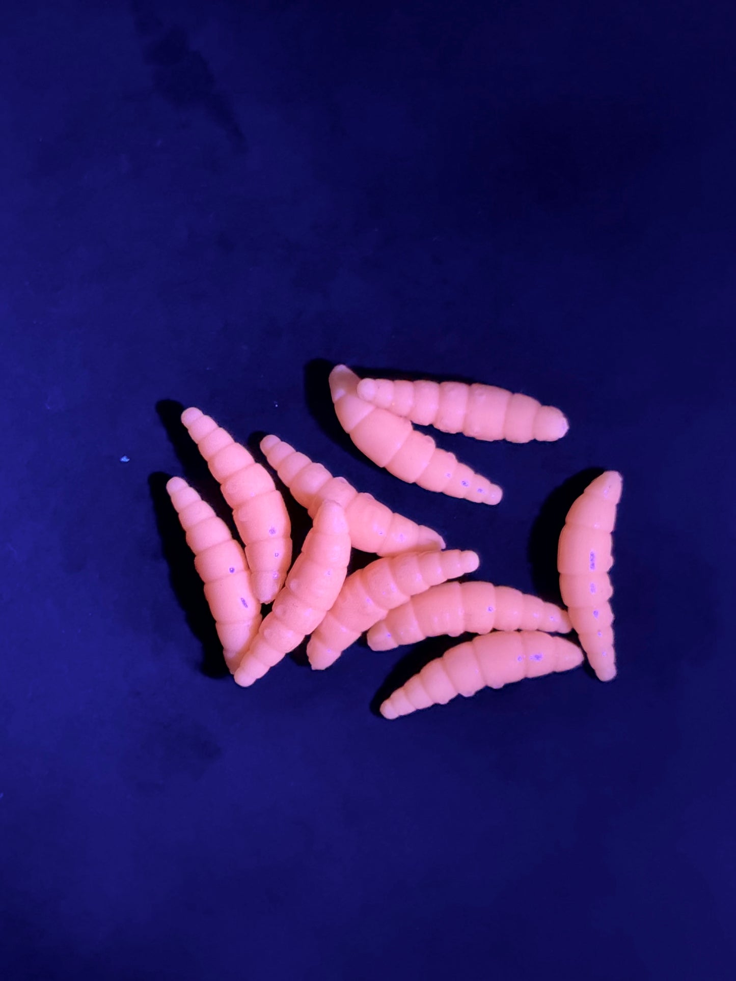 Mini-PUFF - Lachs