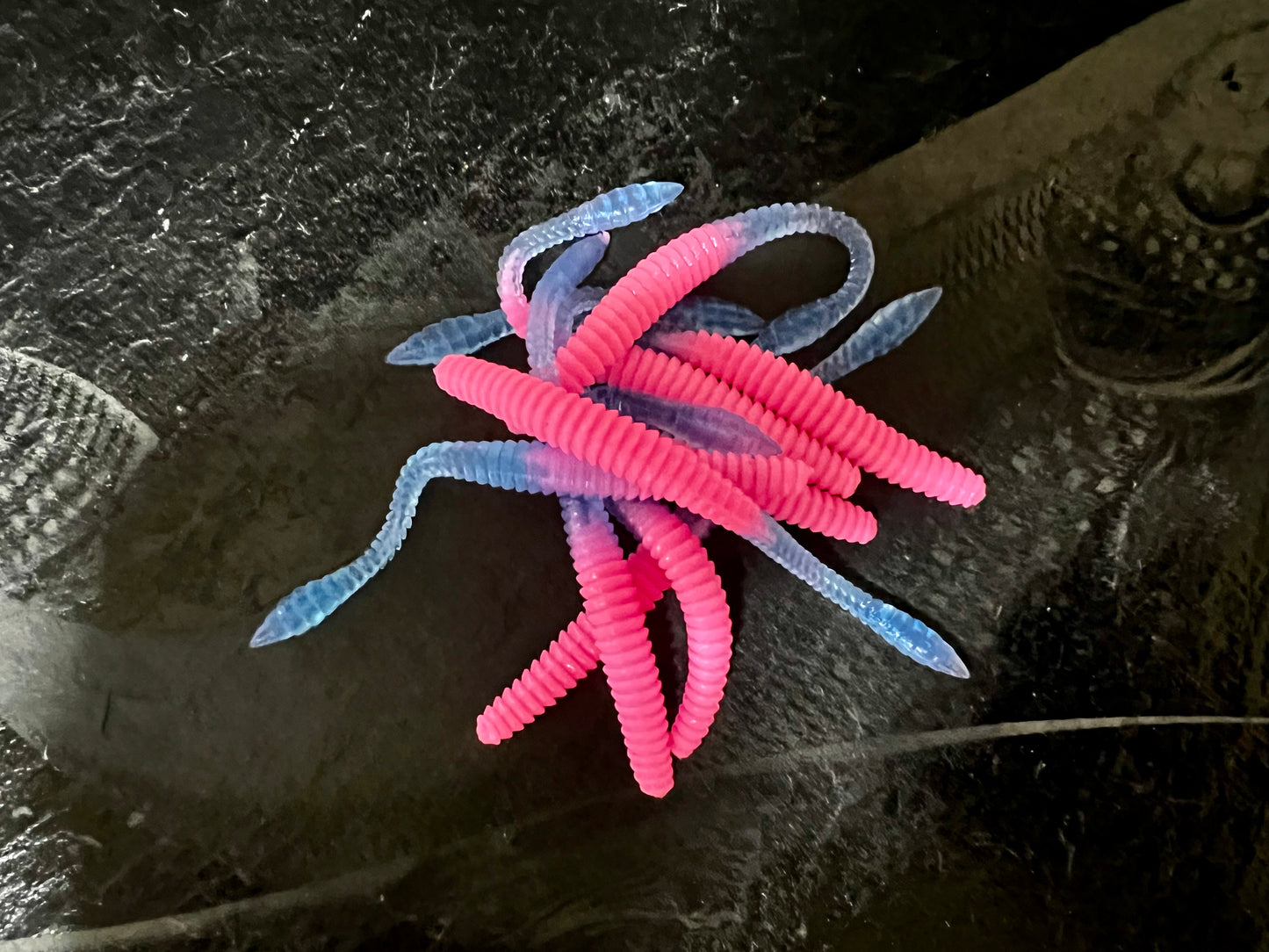 KNUT - Bubblegum/Magic-Blue