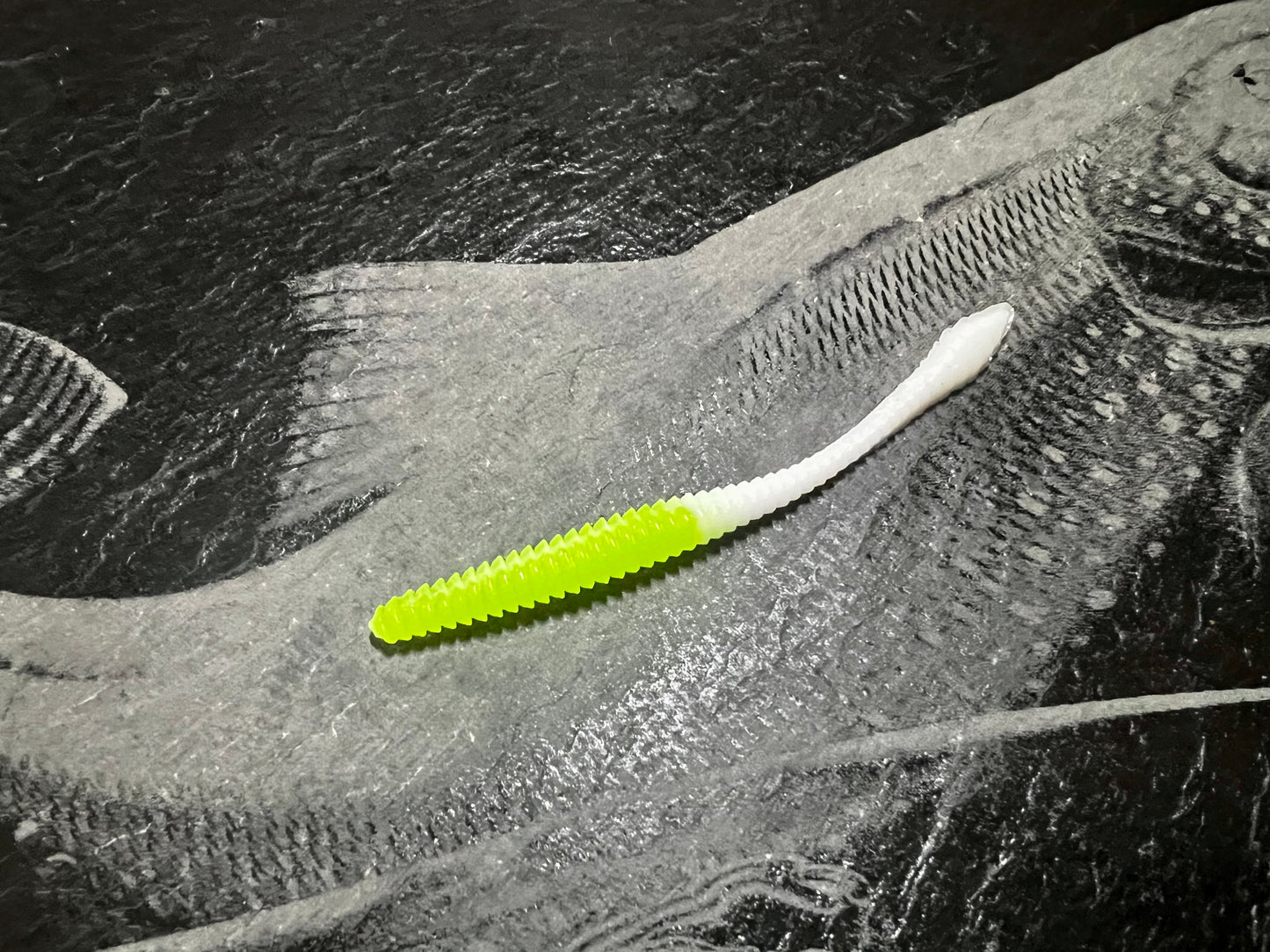 KNUT - Chartreuse/Weiss