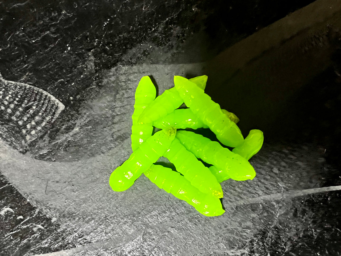 HAMMER - Chartreuse/Goldglitter