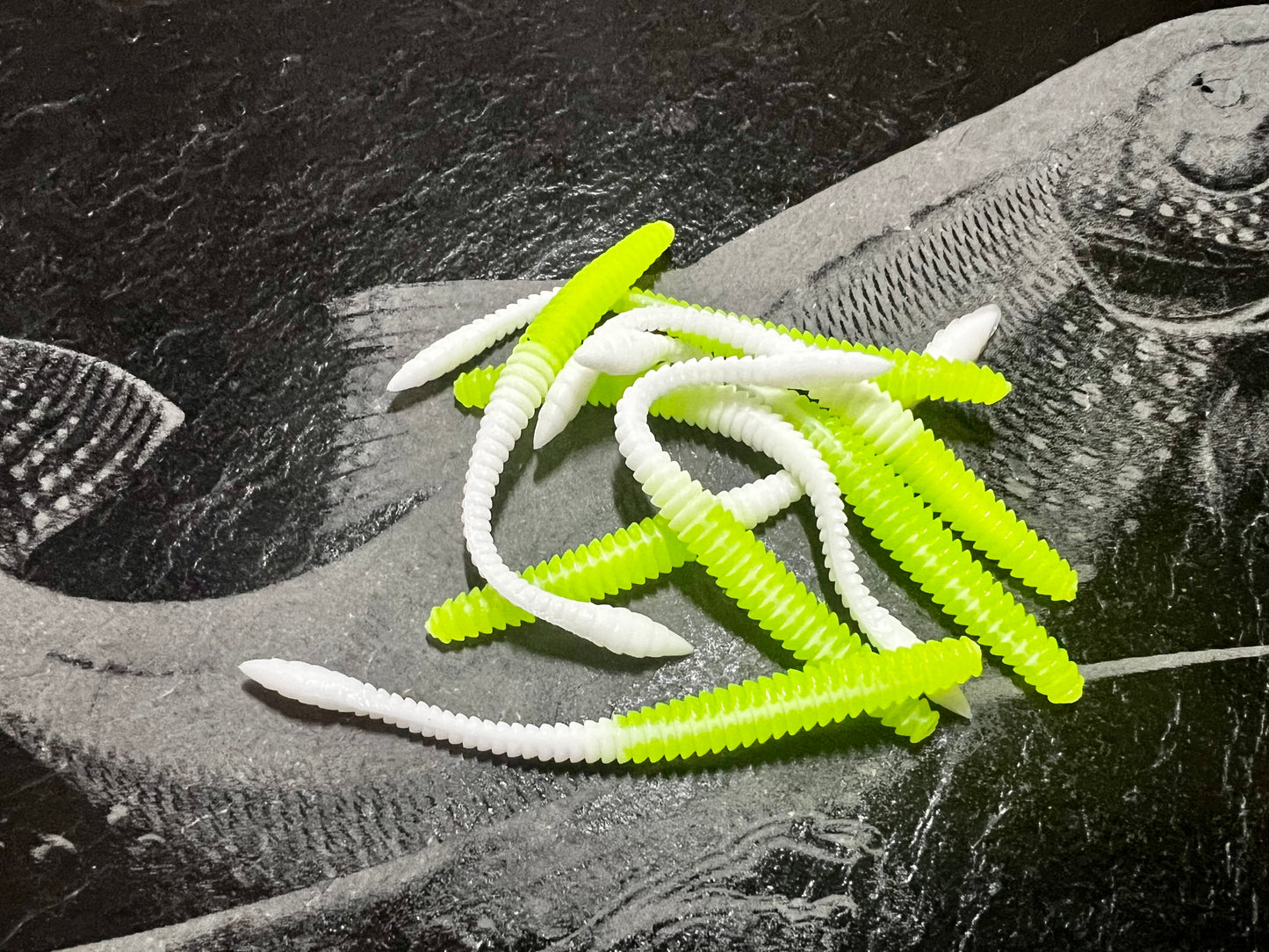 KNUT - Chartreuse/Weiss
