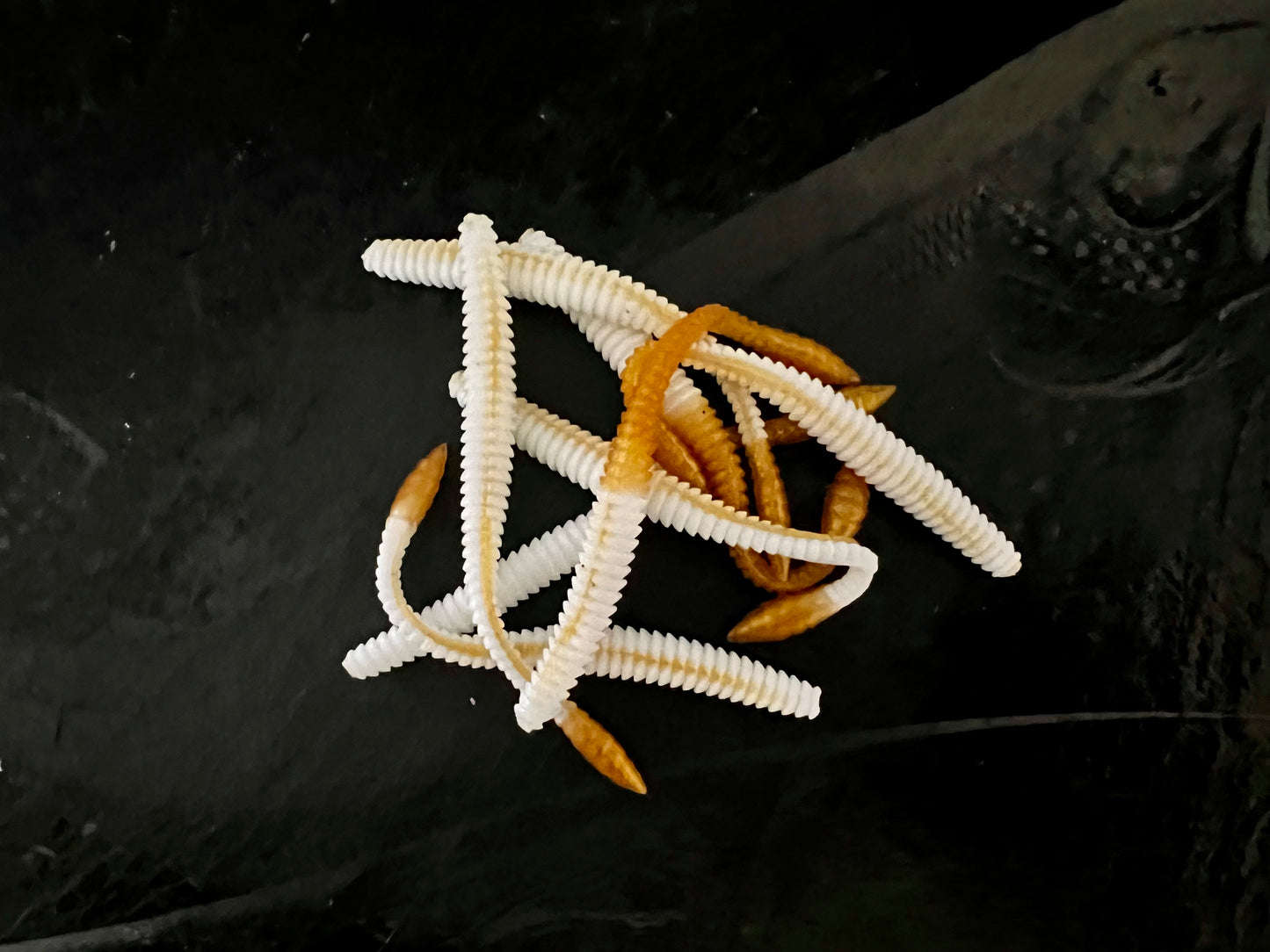 KNUT - Weiss/Gold
