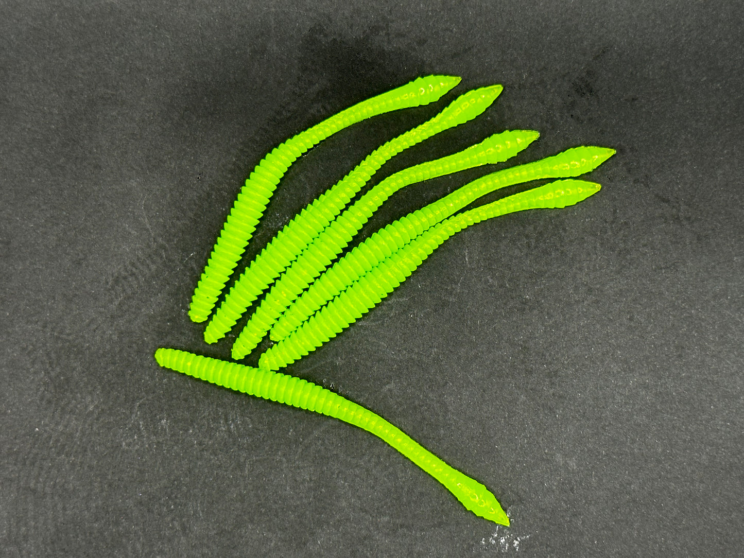 KNUT - Fluro-Green