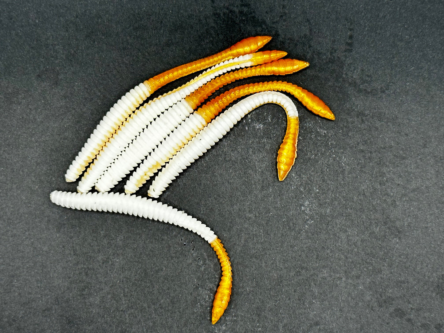 KNUT - Weiss/Gold