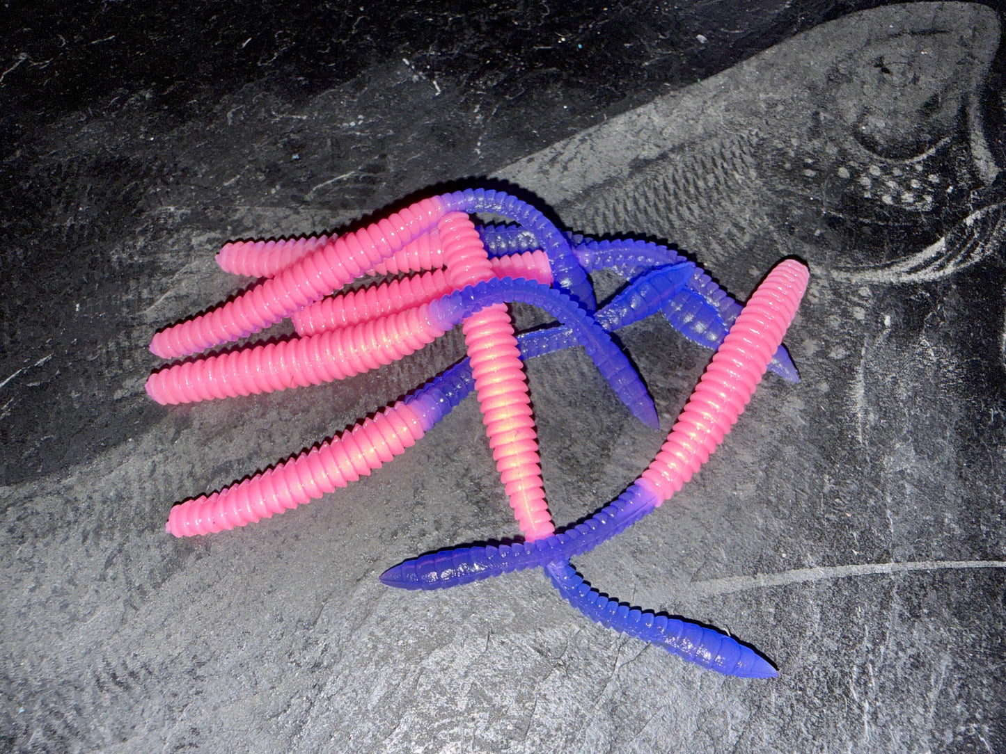 KNUT - Bubblegum/Magic-Blue