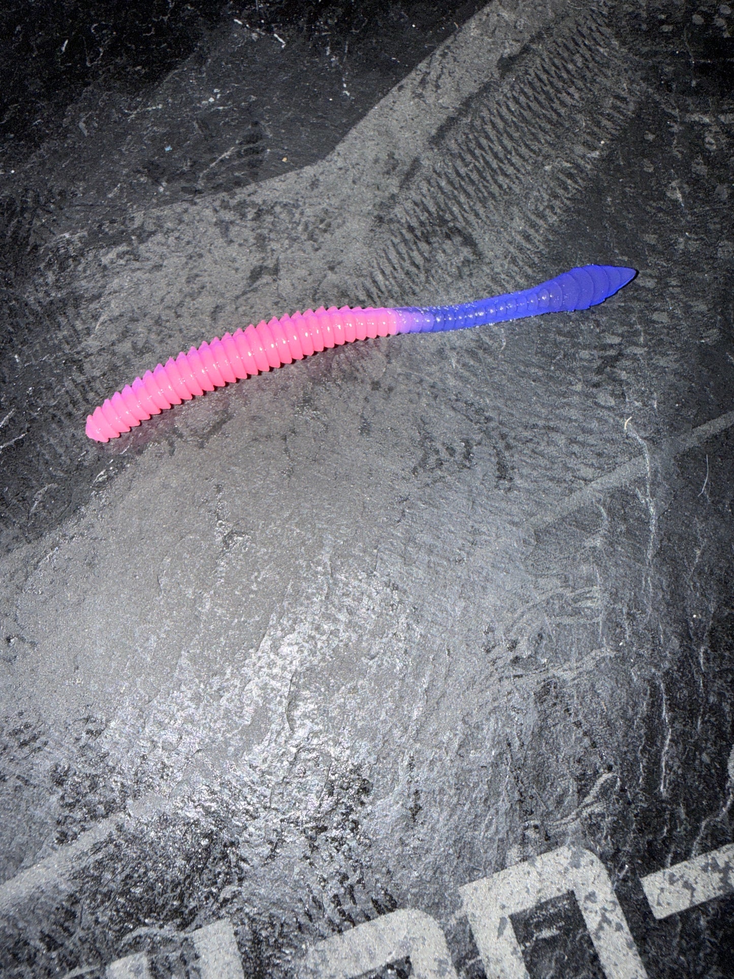 KNUT - Bubblegum/Magic-Blue